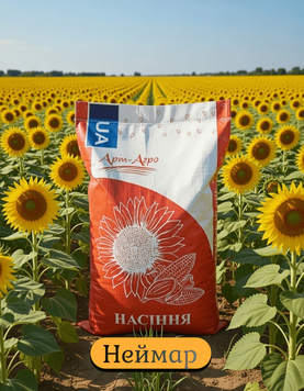 Насіння соняшника НЕЙМАР (під Гранстар) 1674973892 фото