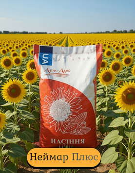 Насіння соняшника НЕЙМАР ПЛЮС (під Гранстар) 1674974271 фото