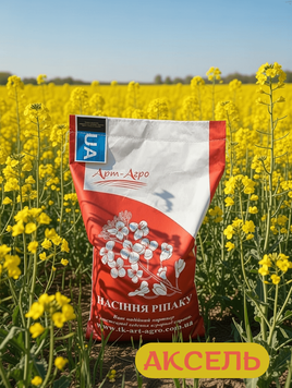 Насіння ярого ріпаку Аксель 500668943 фото
