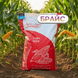 Семена кукурузы БРАЙС (ФАО 310) BRAIS-26-ECONOM фото 2