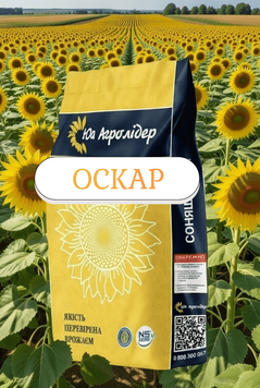 Насіння соняшнику НС Оскар (під Гранстар) 0033300033 фото