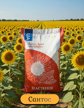 Насіння соняшника САНТОС (під Євро-Лайтнінг) 1674973894 фото