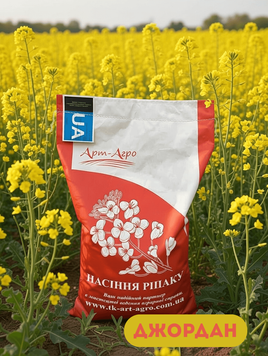Насіння озимого ріпаку ДЖОРДАН (під Раундап) 437801071 фото