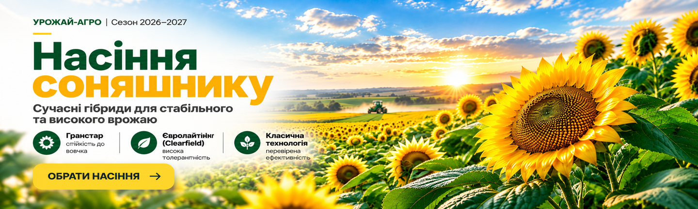 Насіння соняшнику — купити в УРОЖАЙ-АГРО