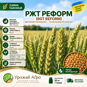 Насіння озимої пшениці РЖТ РЕФОРМ (RGT REFORM) WHEAT-RGT-REFORM-50 фото