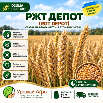 Насіння озимої пшениці РЖТ ДЕПОТ (RGT DEPOT) WHEAT-RGT-DEPOT-50 фото