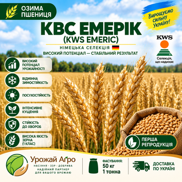 Насіння озимої пшениці КВС ЕМЕРІК (KWS EMERIC) WHEAT-KWS-EMERIC-50 фото